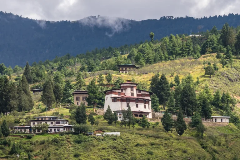 Paro by Marcus Westberg6