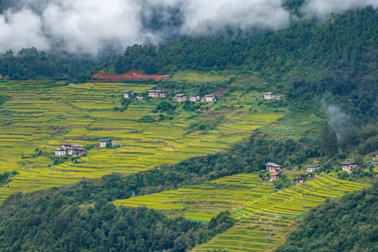 Upper Lobesa Punakha DOT AA Original Bhutan Travels